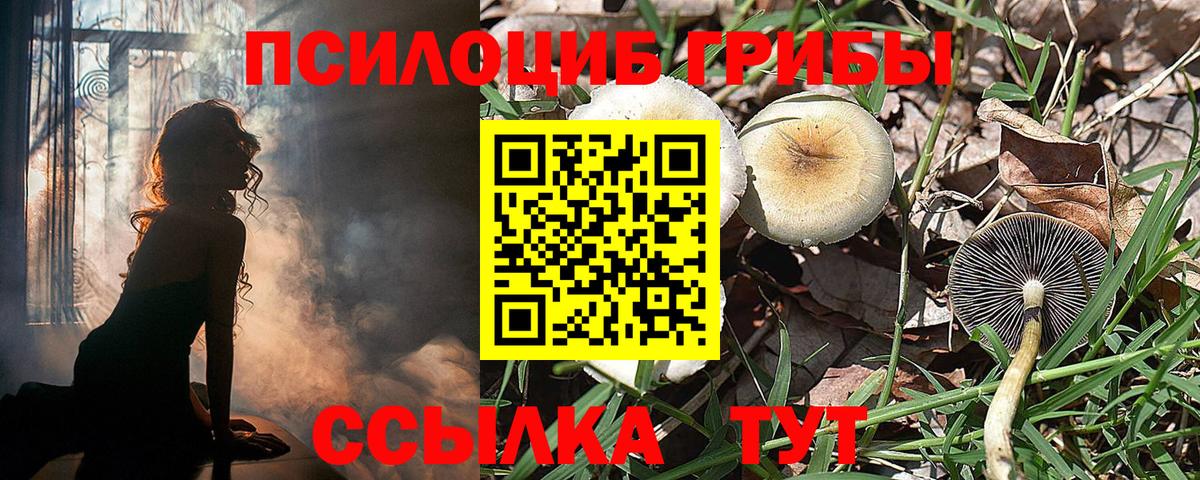 Псилоцибиновые грибы Magic Shrooms  Вход с VPN  Псилоцибиновые грибы Cubensis  Рассказово 